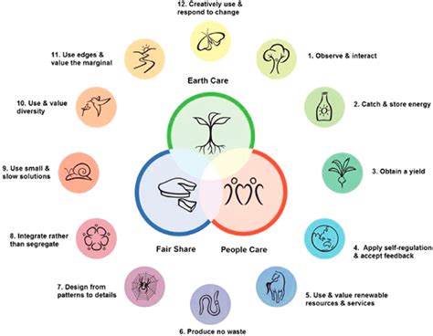  「Permaculture Principles」：エチオピアの知恵が織りなす持続可能な楽園