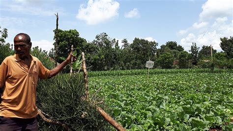  「Yields and Livelihoods」: 地元住民の知恵と近代技術の融合を描き出すエチオピアの農業