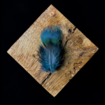 How to Use Peacock Feathers