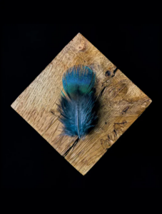 How to Use Peacock Feathers