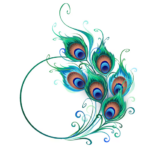 Our Range: Unrivalled Peacock Feather and Event Decor