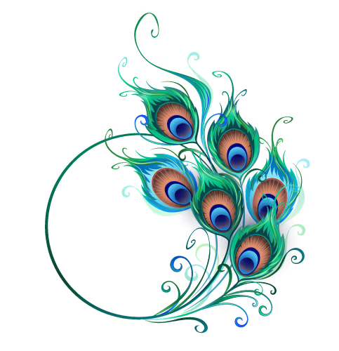 Our Range: Unrivalled Peacock Feather and Event Decor
